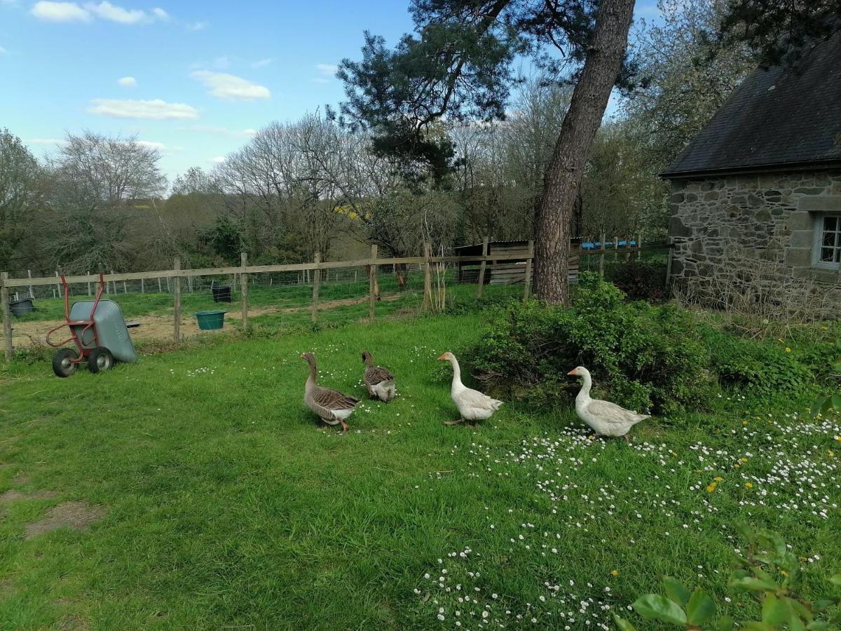 Frairie Du Divit Bed & Breakfast Pontivy Ngoại thất bức ảnh